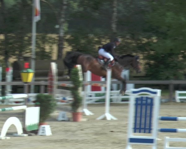 Reitturnier Münster-Roxel 2016