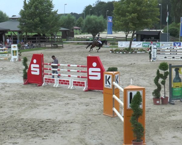 Reitturnier Münster-Roxel 2016