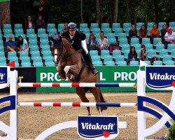 jumper Edgar 50 (KWPN (Royal Dutch Sporthorse), 2009, from Guidam)