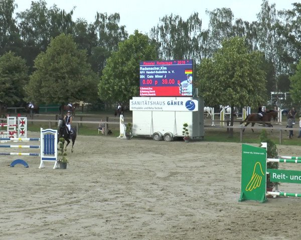 Reitturnier Münster-Roxel 2016
