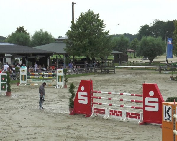 Reitturnier Münster-Roxel 2016