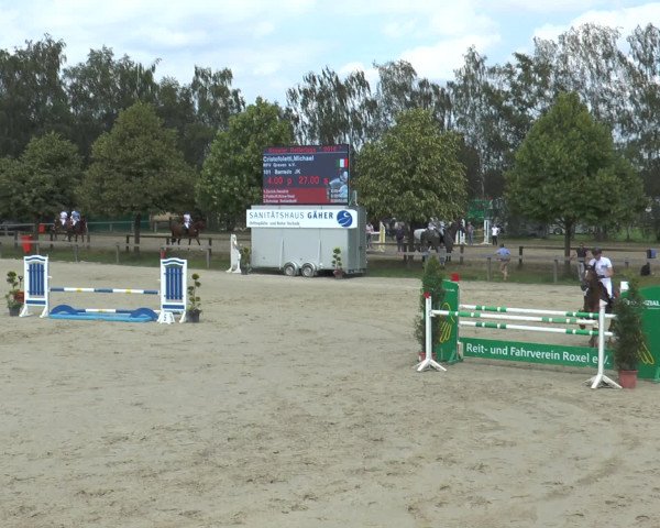 Reitturnier Münster-Roxel 2016