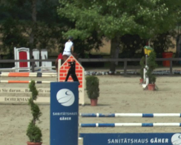 Reitturnier Münster-Roxel 2016