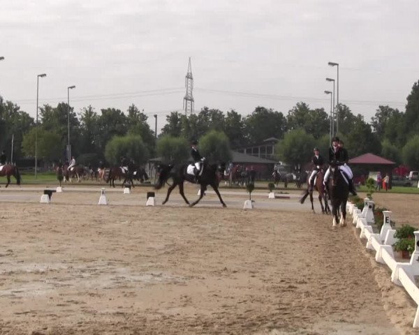 Reitturnier Münster-Roxel 2016