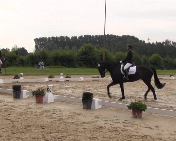 Reitturnier Münster-Roxel 2016