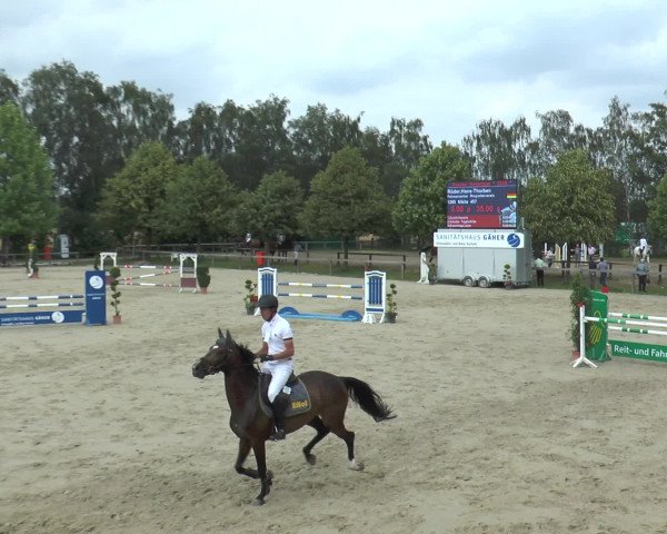 Reitturnier Münster-Roxel 2016