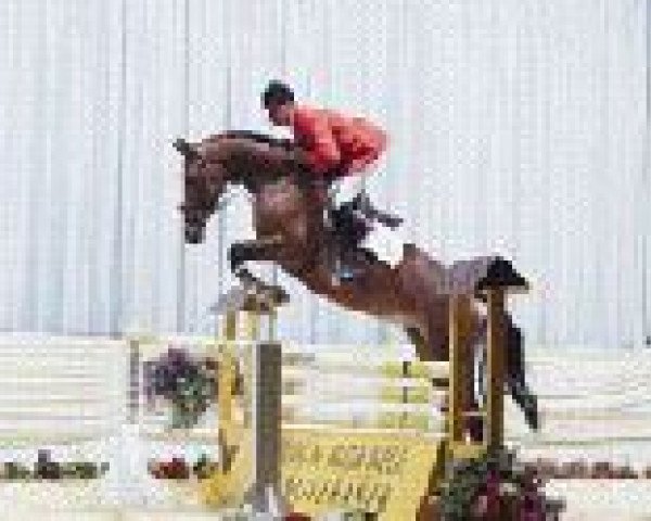 broodmare Lucky Strike 45 (Hanoverian, 1995, from Lanthano)