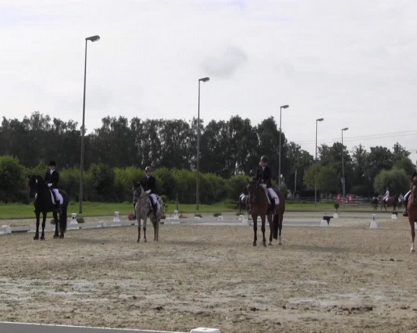 Reitturnier Münster-Roxel 2016