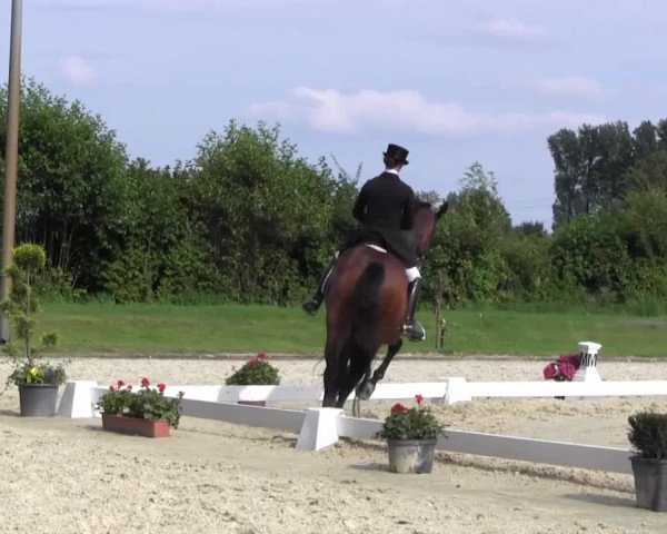 Reitturnier Münster-Roxel 2016