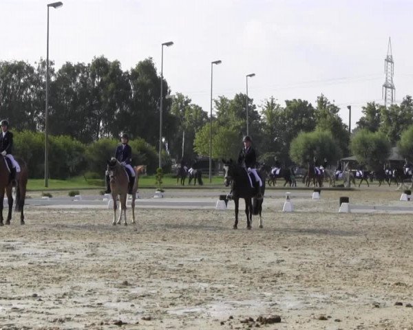 Reitturnier Münster-Roxel 2016