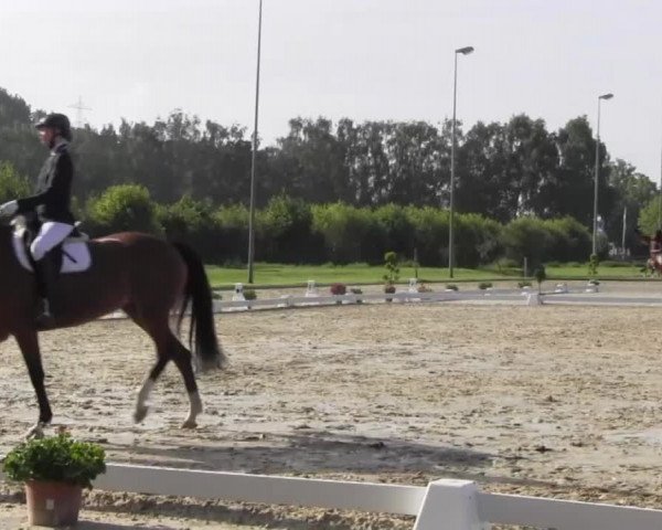 Reitturnier Münster-Roxel 2016
