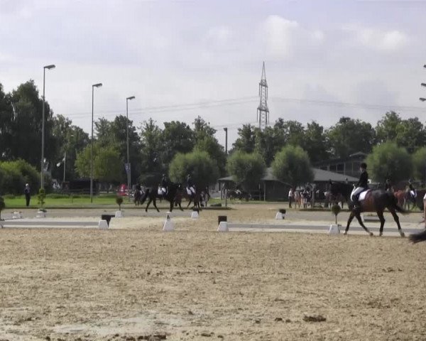 Reitturnier Münster-Roxel 2016
