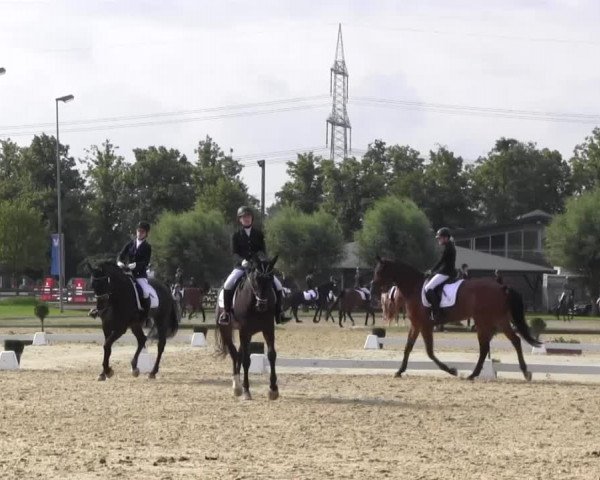 Reitturnier Münster-Roxel 2016