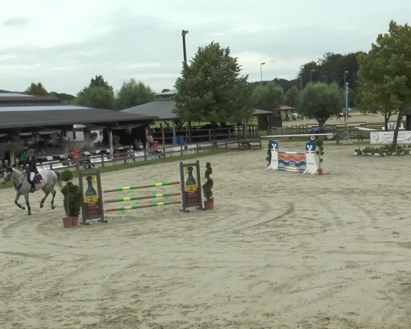 Reitturnier Münster-Roxel 2016
