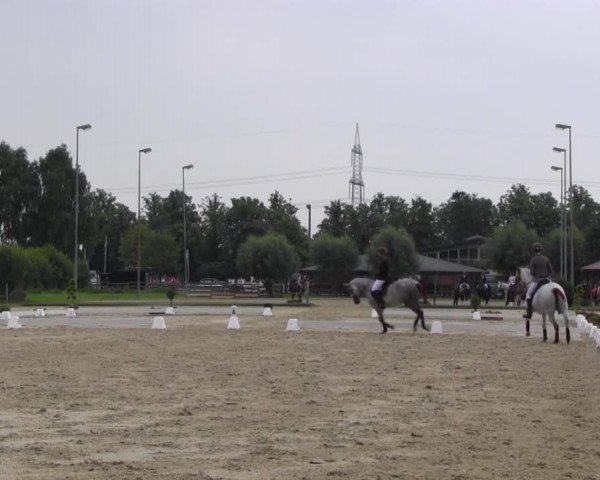 Reitturnier Münster-Roxel 2016