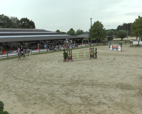 Reitturnier Münster-Roxel 2016