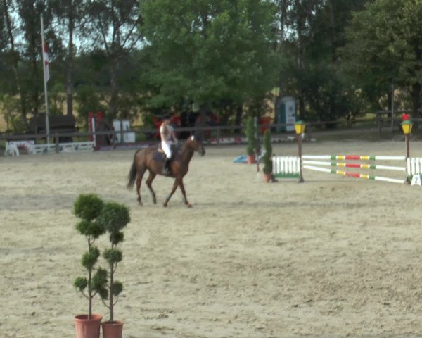 Reitturnier Münster-Roxel 2016