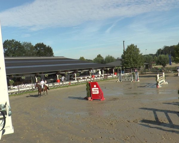 Reitturnier Münster-Roxel 2016