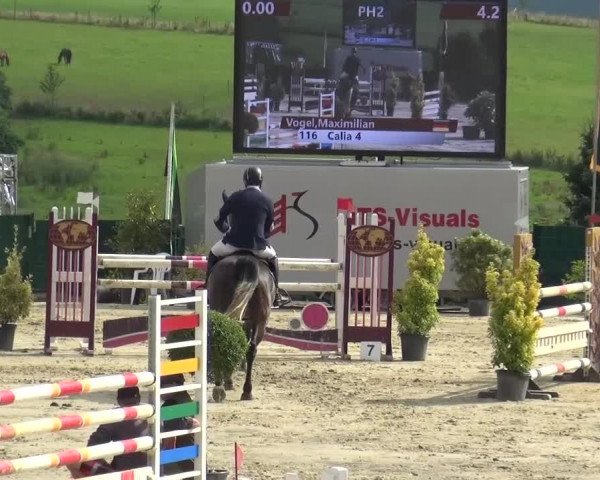 Reitturnier Lindlar-Süttenbach 2016
