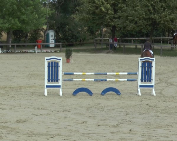 Reitturnier Münster-Roxel 2016