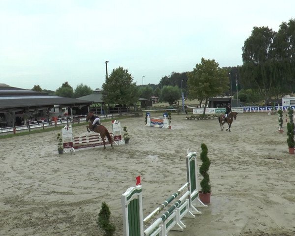 Reitturnier Münster-Roxel 2016