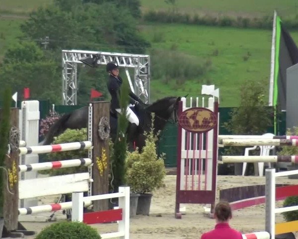 Reitturnier Lindlar-Süttenbach 2016
