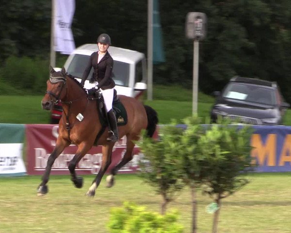 FEI Reitturnier Steinhagen (GER) 2016