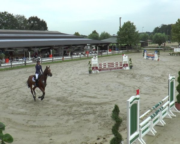Reitturnier Münster-Roxel 2016