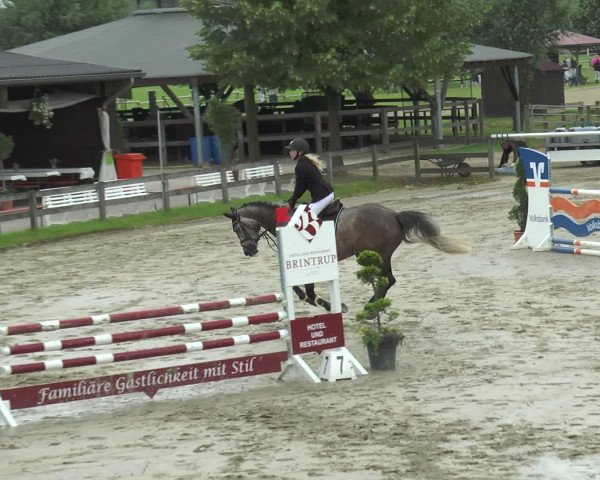 Reitturnier Münster-Roxel 2016