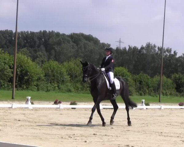 Reitturnier Münster-Roxel 2016
