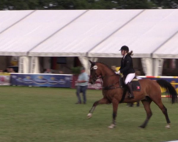 FEI Reitturnier Steinhagen (GER) 2016