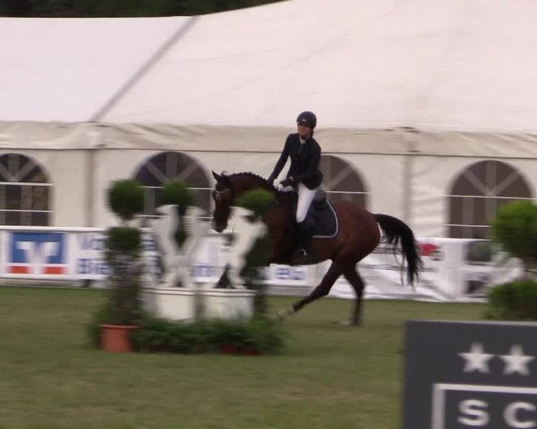 FEI Reitturnier Steinhagen (GER) 2016