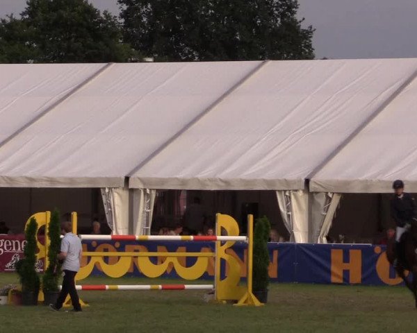 FEI Reitturnier Steinhagen (GER) 2016