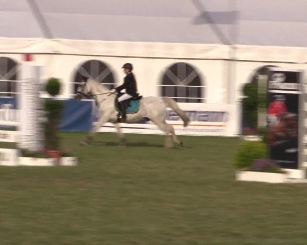 FEI Reitturnier Steinhagen (GER) 2016