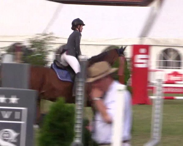 FEI Reitturnier Steinhagen (GER) 2016