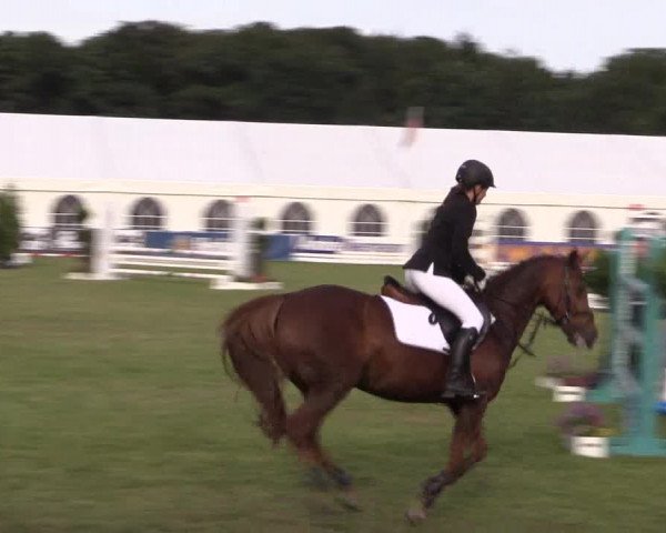 FEI Reitturnier Steinhagen (GER) 2016