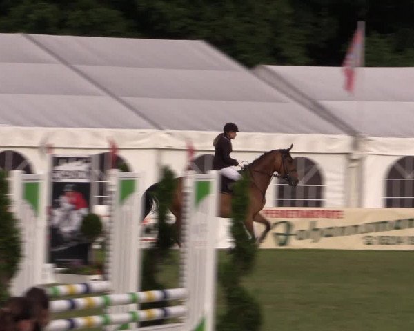 FEI Reitturnier Steinhagen (GER) 2016