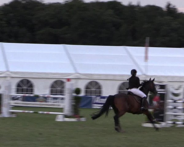 FEI Reitturnier Steinhagen (GER) 2016