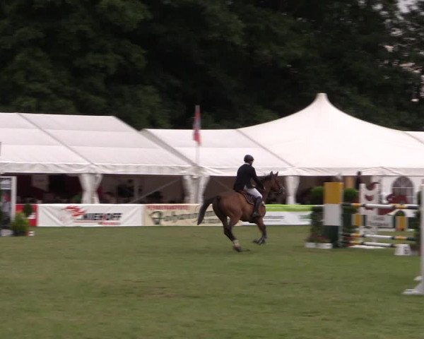 FEI Reitturnier Steinhagen (GER) 2016