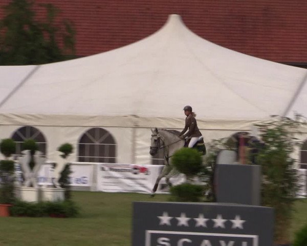 FEI Reitturnier Steinhagen (GER) 2016