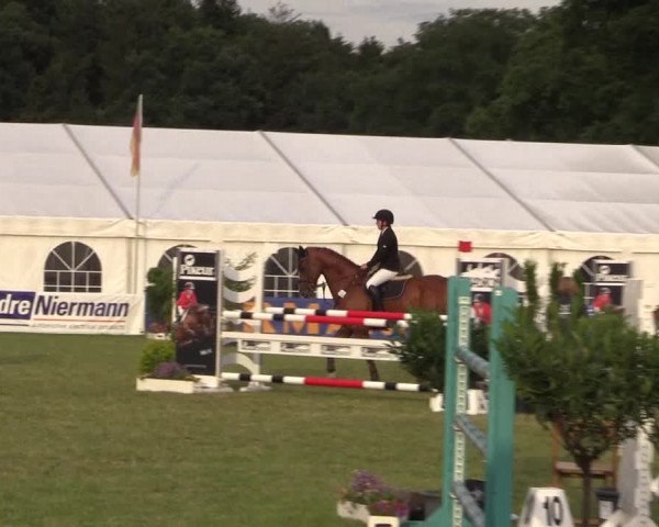 FEI Reitturnier Steinhagen (GER) 2016