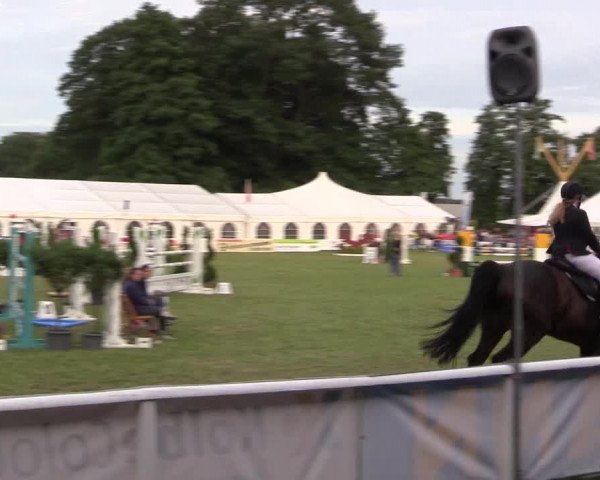 FEI Reitturnier Steinhagen (GER) 2016