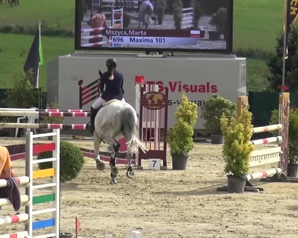 Reitturnier Lindlar-Süttenbach 2016