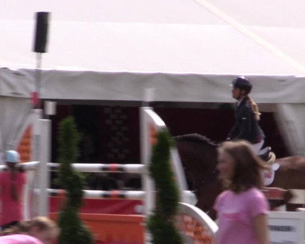 FEI Reitturnier Steinhagen (GER) 2016