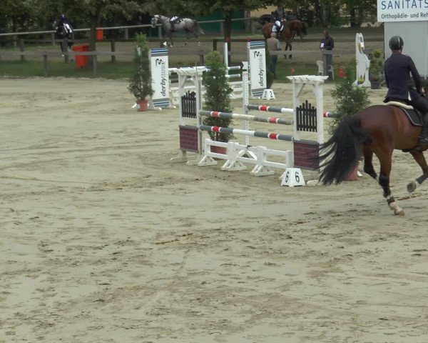 Reitturnier Münster-Roxel 2016