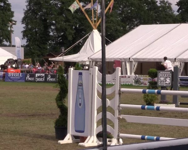 FEI Reitturnier Steinhagen (GER) 2016