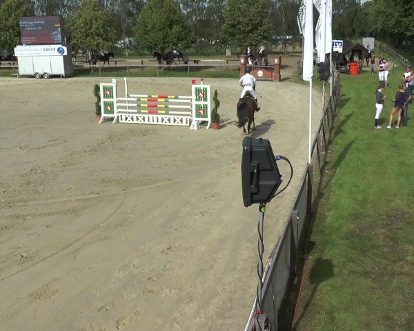 Reitturnier Münster-Roxel 2016