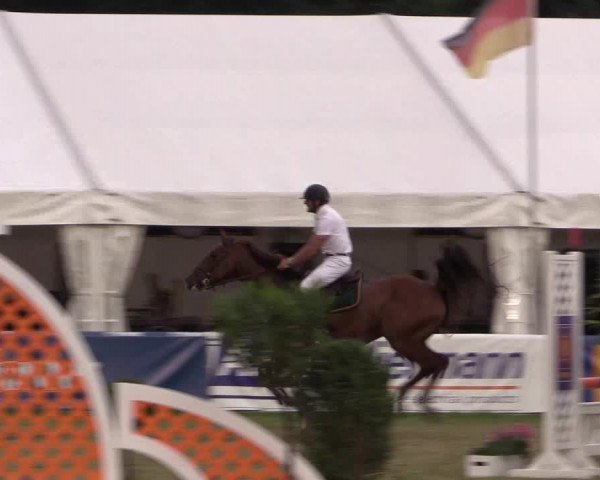 FEI Reitturnier Steinhagen (GER) 2016