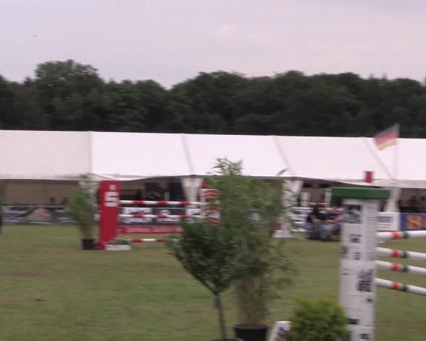 FEI Reitturnier Steinhagen (GER) 2016