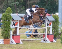 broodmare Fleur du Soleil 3 (Hanoverian, 2009, from Falsterbo)